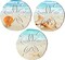 3-Piece Coastal Christmas Wall Decor Set – Beach Wall Art with Sea Turtle, Seahorse, Starfish, Surfboard & Seashells for Bathroom, Bedroom, and Home (Sand Dollar Style)